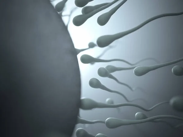 Imagem Conceitual Reprodução Humana Esperma Tentando Entrar Ovo — Fotografia de Stock