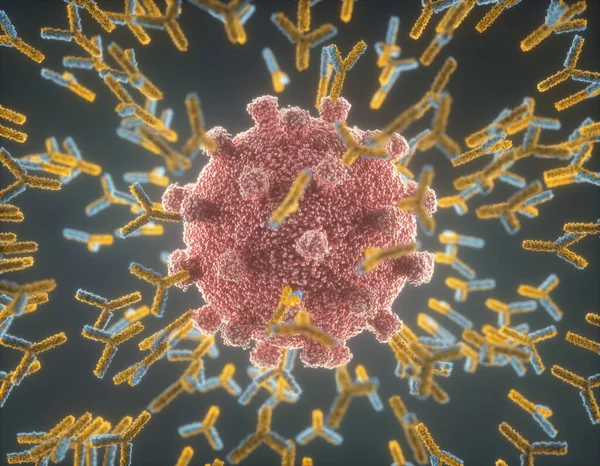免疫系 ウイルスを攻撃する抗体Covid 体の防衛システムの概念 コロナウイルスを攻撃するY型抗体 — ストック写真