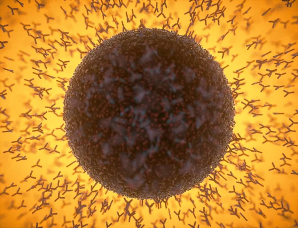 免疫系统抗体攻击病毒Covid 19三维图解 人体防御系统的概念 Y型抗体攻击大肠病毒 — 图库照片