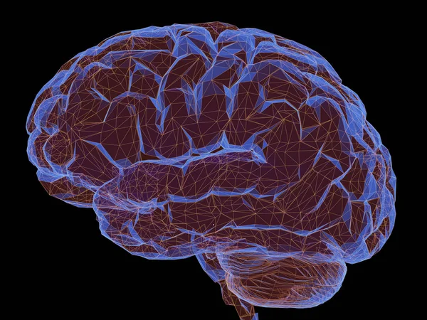 Απεικόνιση Ανθρώπινος Εγκέφαλος Μια Δομή Πολυγωνικών Συνδέσεων Που Αντιπροσωπεύουν Δύναμη — Φωτογραφία Αρχείου
