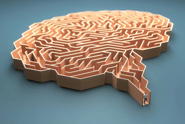 Brain Shaped Maze Conceptual Image Science Medicine — Stock Photo, Image