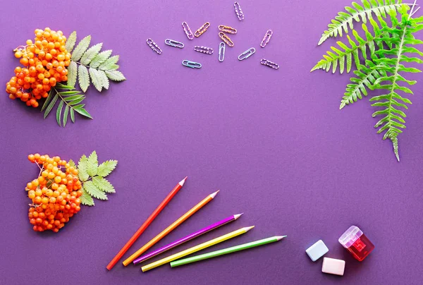 renkli bir arka plan üzerinde okul parlak malzemeleri.