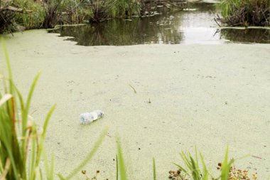 Büyük bir şehrin nehrinde çöp.