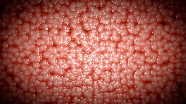 İnsan 3d Beyin Arkaplanı