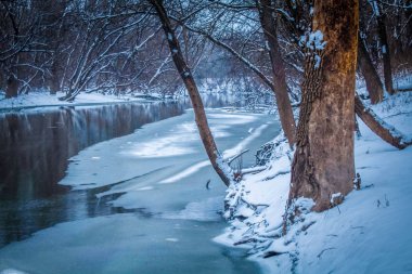 Dondurulmuş Des Plaines Nehri Manzara