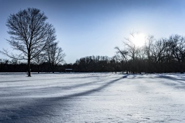 Ağaçlar ve güneş ile güzel kış manzara