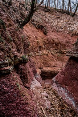 Kızıl kaya güzel su vahşi ormanda kanyon yaptı