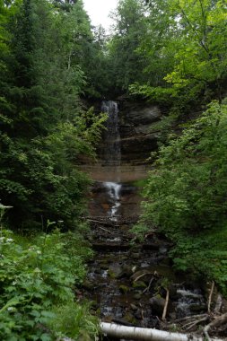 iz Munising Mi üzerinde inanılmaz orman şelale , Amerika Birleşik Devletleri