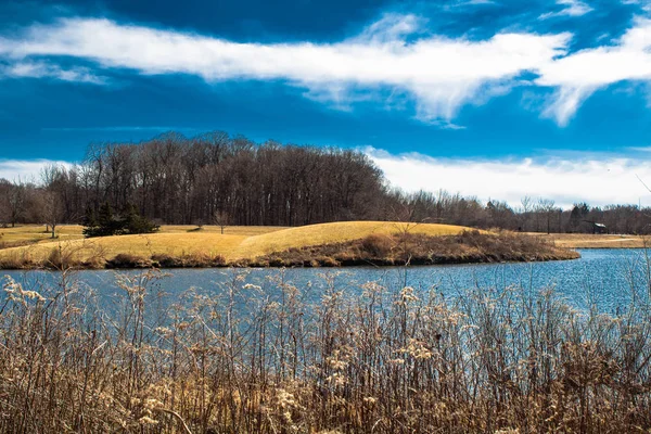 Eiland met bomen en bulten — Stockfoto