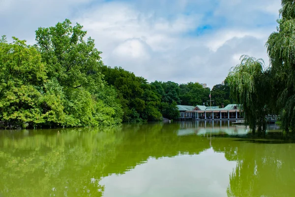 Acid green watercolor pond,, Central Park , NYC — Stock Photo, Image