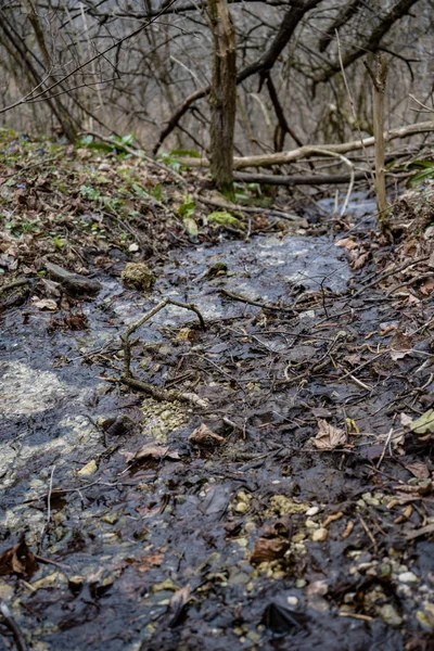 Pad van de natuur bronwater bronnen in wild bos in West-Oekraïne — Stockfoto