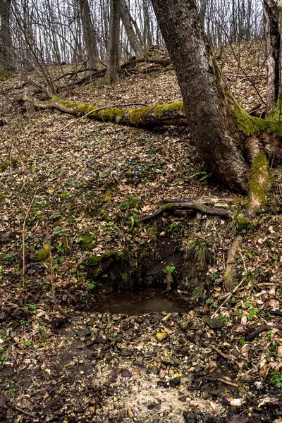 Natürliche unterirdische Quellwasserquelle in wilden Wäldern — Stockfoto