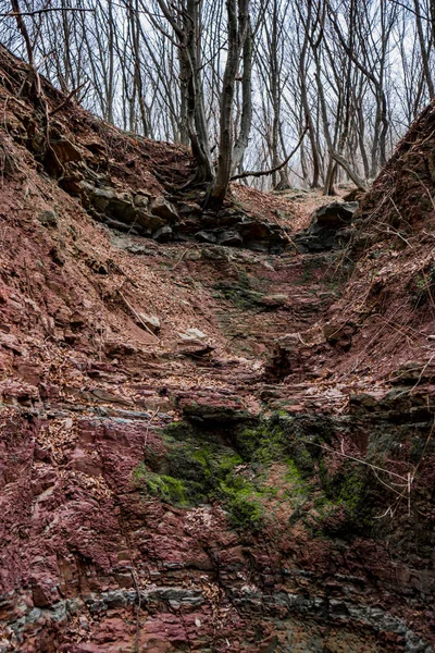 Paredes rochosas vermelhas de ravina com árvores no topo — Fotografia de Stock
