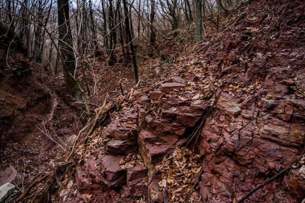 Parede rochosa rachada vermelha coberta por folhas secas velhas — Fotografia de Stock