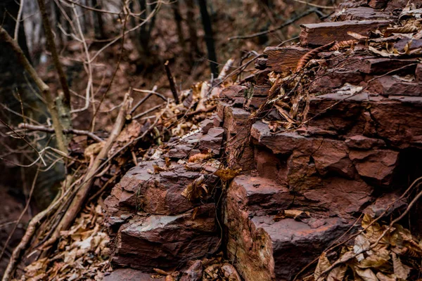 Mur rocheux fissuré rouge recouvert de vieilles feuilles sèches, gros plan — Photo