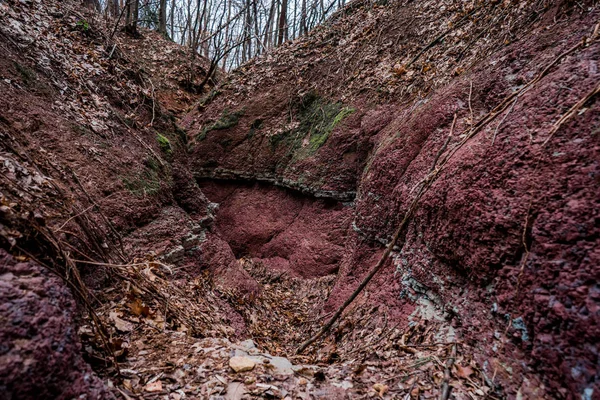 Roche rouge belle eau fait canyon dans la forêt sauvage — Photo