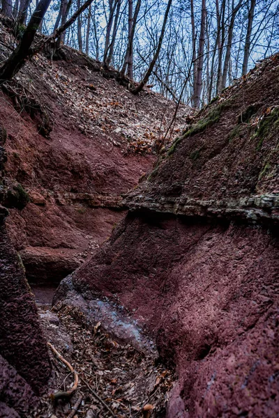 Roche rouge belle eau fait canyon dans la forêt sauvage — Photo