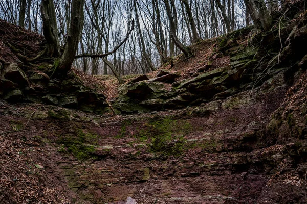 Paredes rochosas vermelhas de ravina com árvores no topo e musgo verde — Fotografia de Stock