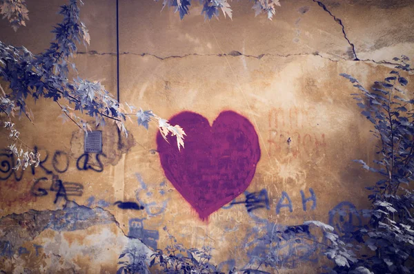 Lviv, Ukrayna, 15 Temmuz 2019, Dalları ile bir duvarda Kalp grafiti