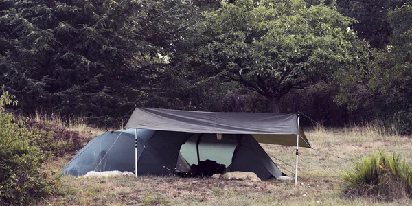 Two Spanish water dogs guarding a tent — Stock Photo, Image