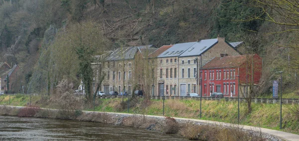 Huy Belçika Şubat 2020 Meuse Nehri manzaralı