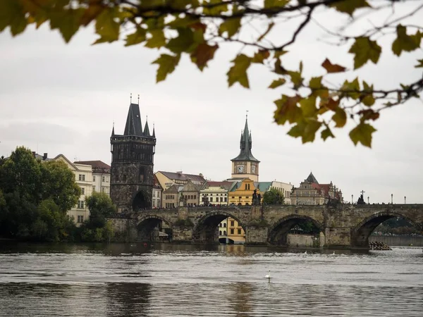 Vltava rivier in Praag Tsjechië met Karelsbrug op de achtergrond op een bewolkte dag omlijst door bladeren — Stockfoto