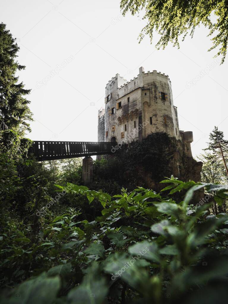 Burg Grimmenstein Castle in Lower Austria framed by leaves