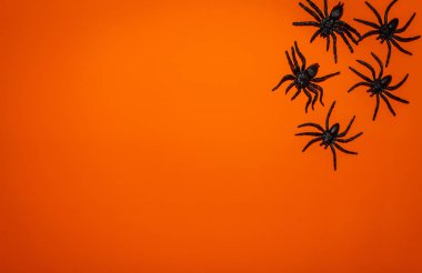 Turuncu Halloween arka plan ile örümcekler