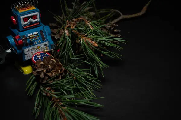 Siyah arka planda oyuncak bir robotla Noel çamı dalları