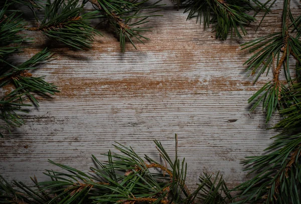 Різдвяний фон з гілками сосни на дереві — стокове фото