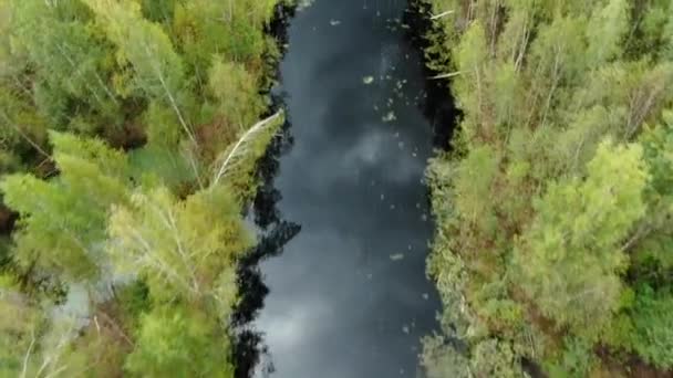 Survoler un lac forestier par temps clair en automne 