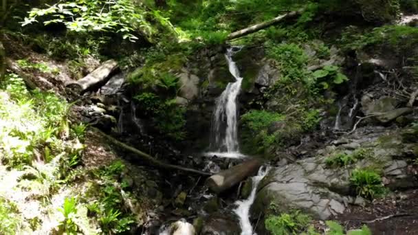 Panorama Wodospadu Górskiego Lesie Pogodne Dni Wysokości — Wideo stockowe