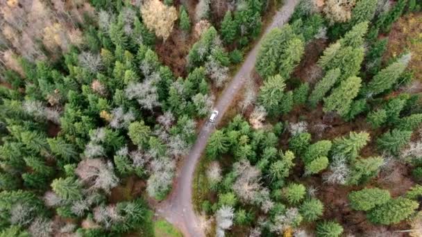 Vue Aérienne Route Automne Avec Des Voitures Route Campagne Forêt — Video