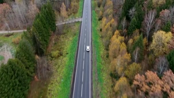 秋天道路的空中风景与汽车 秋天森林的乡间小路 秋天的森林和公路 秋天的汽车路在森林里俯瞰 空中风景 跟踪目标 乘坐家庭汽车旅行 — 图库视频影像