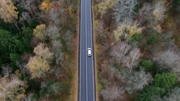 Vista Aérea Carretera Otoño Con Coches Camino Rural Bosque Otoñal — Vídeo de stock