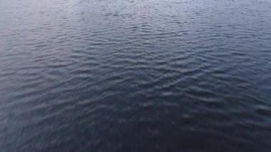 Sonbaharda şafak vakti nehrin üzerinden uçmak. Nehrin panoramik manzarası. Doğal dokular. Hava görüntüsü uçuyor.