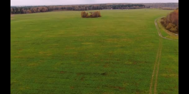 Eine Drohne Fliegt Nach Der Ernte Herbst Über Ein Abgeschrägtes — Stockvideo
