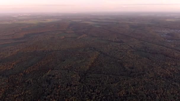 Volný Let Přes Nekonečný Zelený Les Slunečného Dne Krásné Panorama — Stock video