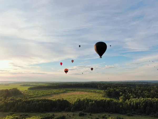 Létání Balónech Nad Zeleným Polem Lesem Pozadí Modré Oblohy Při — Stock fotografie