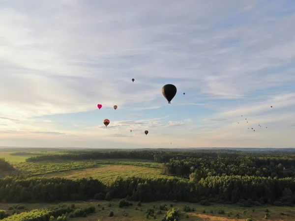 Létání Balónech Nad Zeleným Polem Lesem Pozadí Modré Oblohy Při — Stock fotografie