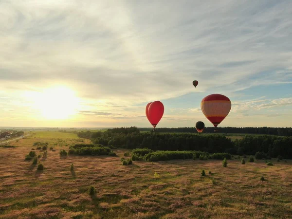 Voando Balões Sobre Campo Verde Floresta Contra Fundo Céu Azul — Fotografia de Stock