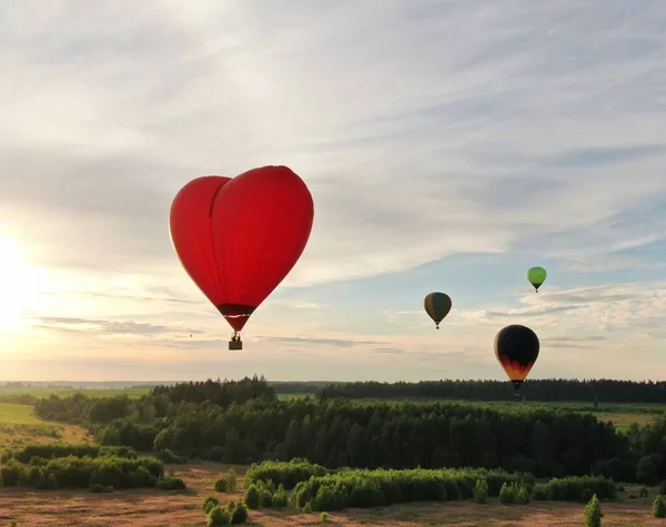 Latanie Balonami Nad Zielonym Polem Lasem Tle Błękitnego Nieba Zachodzie — Zdjęcie stockowe