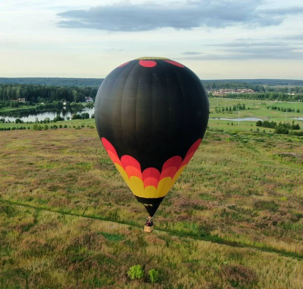 Létání Balónech Nad Zeleným Polem Lesem Pozadí Modré Oblohy Při — Stock fotografie