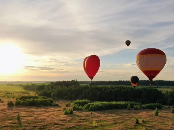 Lufikkal Repül Egy Zöld Mező Erdő Felett Kék Hátterében Nyáron — Stock Fotó