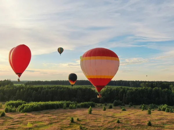 Lufikkal Repül Egy Zöld Mező Erdő Felett Kék Hátterében Nyáron — Stock Fotó