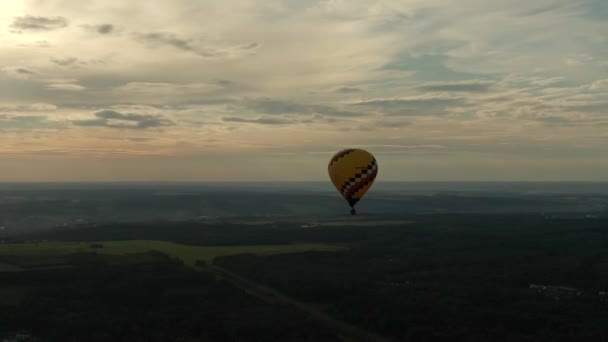 Lufikkal Repül Egy Zöld Mező Erdő Felett Kék Hátterében Nyáron — Stock videók