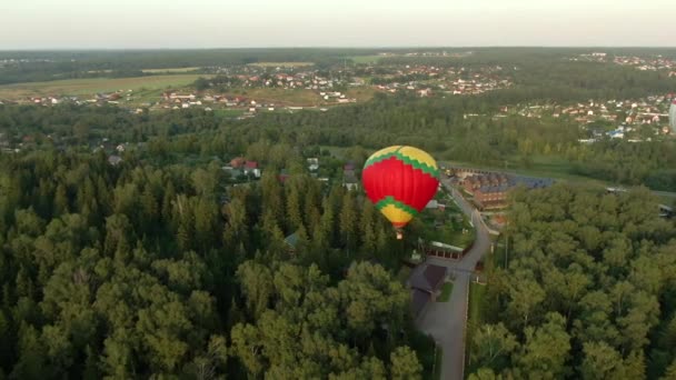 Luftballons Fliegen Über Einer Grünen Wiese Und Einem Wald Vor — Stockvideo