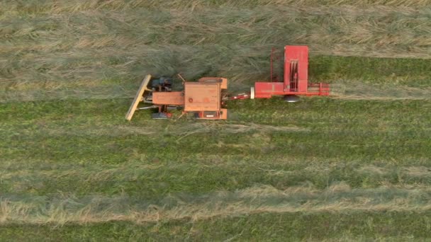 Aerial View Harvesting Agricultural Machinery Tractor Collects Dry Grass Field — Stock Video