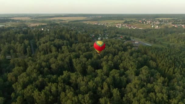 Luftballons Fliegen Über Einer Grünen Wiese Und Einem Wald Vor — Stockvideo