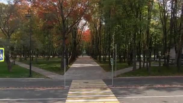 Flug Über Die Gleise Den Parks Einem Sonnigen Herbsttag Schöner — Stockvideo